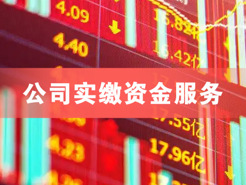 佳木斯公司实缴资金服务